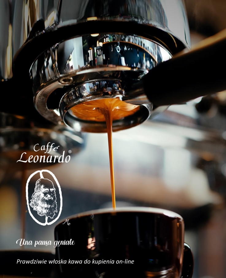 Banner Leonardo Grupa PL