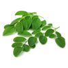 Moringa