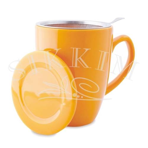 `Plint` Orange Mug 300ml with Strainer