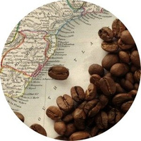 Coffee Arabica `Brasil Santos`