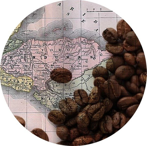 Coffee Arabica `Honduras Marcala SHG Organic`